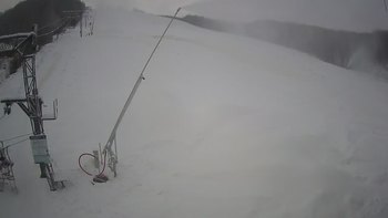 Ведмежа 23 грудня 2021 року, 2021-12-23 10:00