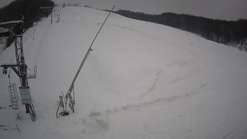 Ведмежа 24 грудня 2021 року, 2021-12-24 13:00