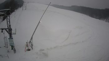 Ведмежа 24 грудня 2021 року, 2021-12-24 16:00