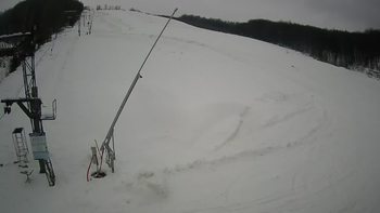 Ведмежа 25 грудня 2021 року, 2021-12-25 10:00