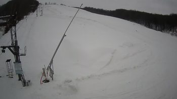 Ведмежа 25 грудня 2021 року, 2021-12-25 13:00