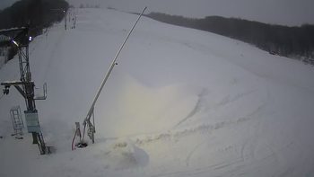 Ведмежа 25 грудня 2021 року, 2021-12-25 16:00
