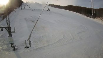 Ведмежа 26 грудня 2021 року, 2021-12-26 13:00