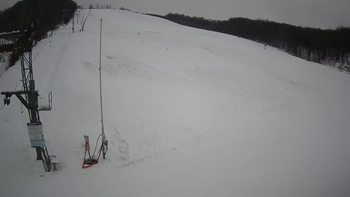 Ведмежа 28 грудня 2021 року, 2021-12-28 10:00