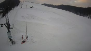 Ведмежа 28 грудня 2021 року, 2021-12-28 16:00