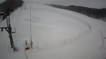 Ведмежа 29 грудня 2021 року, 2021-12-29 10:00