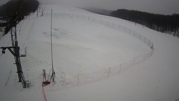 Ведмежа 29 грудня 2021 року, 2021-12-29 13:00