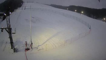 Ведмежа 29 грудня 2021 року, 2021-12-29 16:00