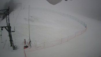 Ведмежа 30 грудня 2021 року, 2021-12-30 10:00