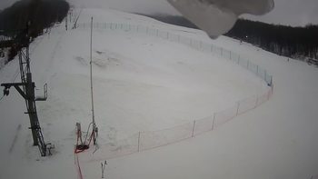 Ведмежа 30 грудня 2021 року, 2021-12-30 13:00