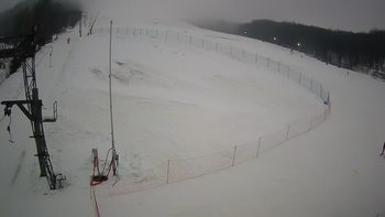 Ведмежа 30 грудня 2021 року, 2021-12-30 16:00