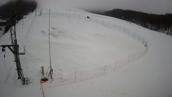 Ведмежа 31 грудня 2021 року, 2021-12-31 10:00