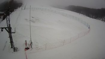 Ведмежа 31 грудня 2021 року, 2021-12-31 13:00