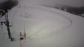 Ведмежа 31 грудня 2021 року, 2021-12-31 16:00