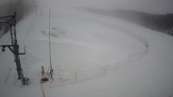 Ведмежа 1 січня 2022 року, 2022-01-01 10:00