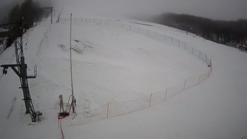 Ведмежа 1 січня 2022 року, 2022-01-01 13:00