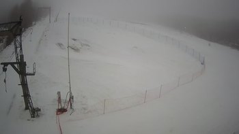 Ведмежа 2 січня 2022 року, 2022-01-02 10:00