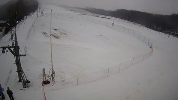 Ведмежа 2 січня 2022 року, 2022-01-02 13:00
