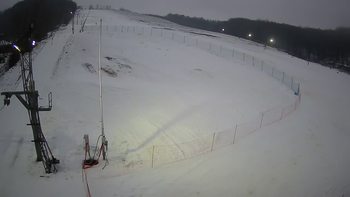 Ведмежа 2 січня 2022 року, 2022-01-02 16:00