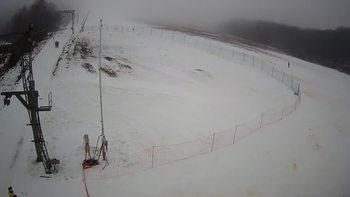 Ведмежа 3 січня 2022 року, 2022-01-03 10:00