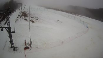 Ведмежа 3 січня 2022 року, 2022-01-03 13:00