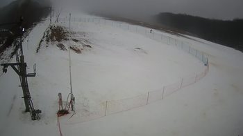 Ведмежа 3 січня 2022 року, 2022-01-03 16:00