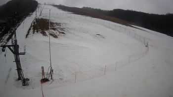 Ведмежа 4 січня 2022 року, 2022-01-04 13:00