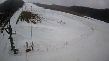 Ведмежа 4 січня 2022 року, 2022-01-04 16:00