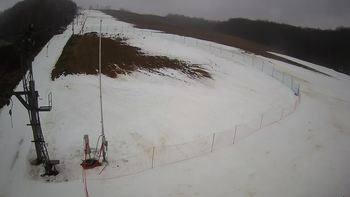 Ведмежа 5 січня 2022 року, 2022-01-05 10:00