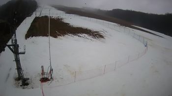 Ведмежа 5 січня 2022 року, 2022-01-05 13:00
