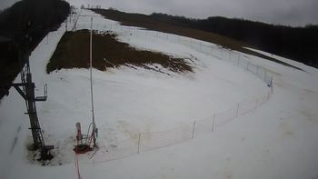 Ведмежа 5 січня 2022 року, 2022-01-05 16:00