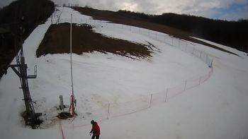 Ведмежа 6 січня 2022 року, 2022-01-06 13:00