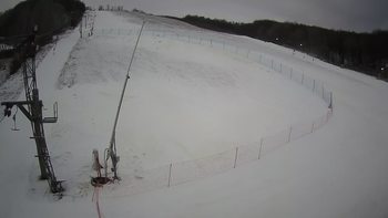 Ведмежа 8 січня 2022 року, 2022-01-08 10:00