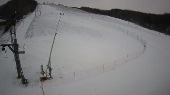 Ведмежа 8 січня 2022 року, 2022-01-08 13:00