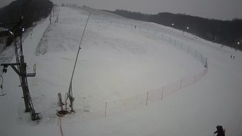 Ведмежа 8 січня 2022 року, 2022-01-08 16:00