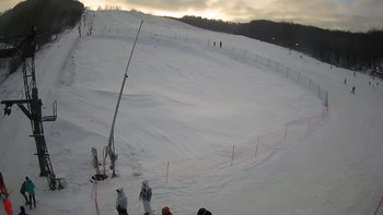 Ведмежа 9 січня 2022 року, 2022-01-09 16:00