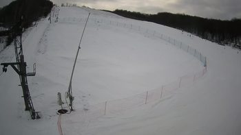 Ведмежа 10 січня 2022 року, 2022-01-10 13:00