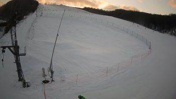 Ведмежа 10 січня 2022 року, 2022-01-10 16:00