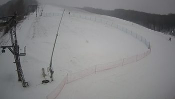 Ведмежа 14 січня 2022 року, 2022-01-14 10:00