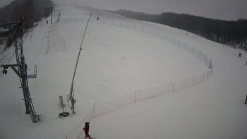 Ведмежа 14 січня 2022 року, 2022-01-14 13:00