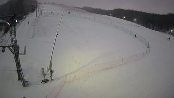 Ведмежа 14 січня 2022 року, 2022-01-14 16:00