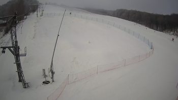 Ведмежа 15 січня 2022 року, 2022-01-15 10:00