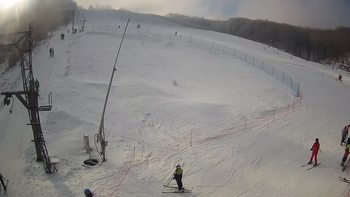 Ведмежа 15 січня 2022 року, 2022-01-15 13:00