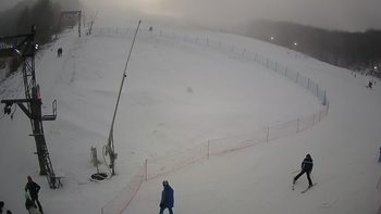 Ведмежа 15 січня 2022 року, 2022-01-15 16:00