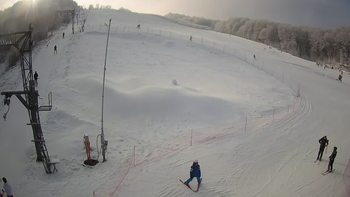 Ведмежа 16 січня 2022 року, 2022-01-16 13:00