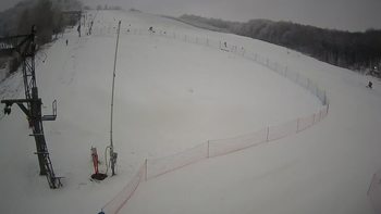 Ведмежа 17 січня 2022 року, 2022-01-17 10:00