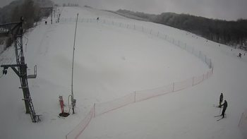 Ведмежа 17 січня 2022 року, 2022-01-17 13:00