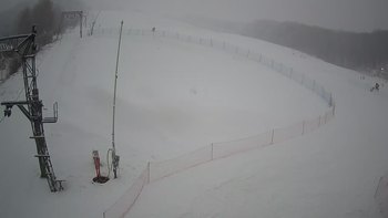 Ведмежа 17 січня 2022 року, 2022-01-17 16:00