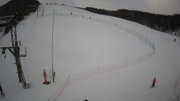 Ведмежа 18 січня 2022 року, 2022-01-18 10:00