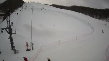 Ведмежа 18 січня 2022 року, 2022-01-18 13:00